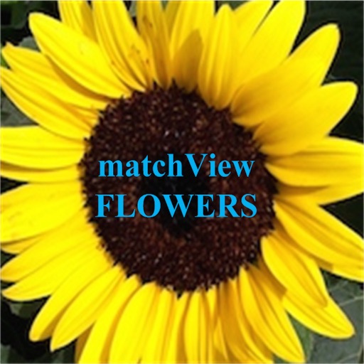 Match View Flowers