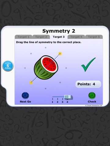 Numeracy Warm Up - Symmetry 2 screenshot 3