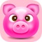 Price of Running Piglet Plays Bingo Casino Lane to Farm Games for Fun