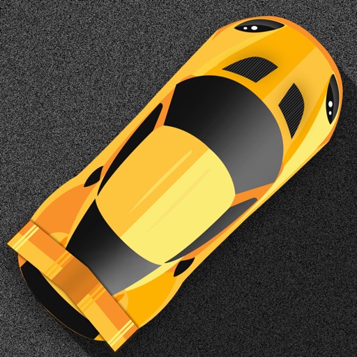 Park The Racing Car Pro - crazy virtual race game icon
