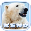 ```` 2k15 ```` Arctic Keno Keno Video: Casino-Mania Free Keno