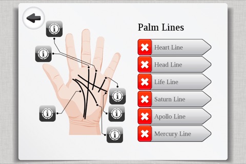 Palm Reading Lite screenshot 2