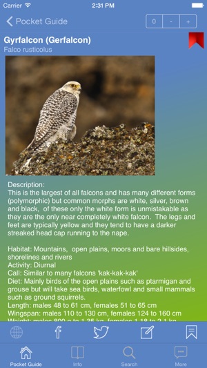 Pocket Guide UK Birds of Prey(圖2)-速報App