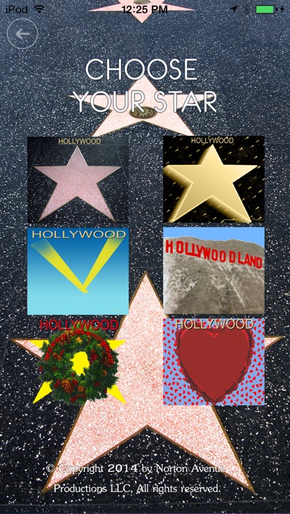 HOLLYWOOD RISING STAR