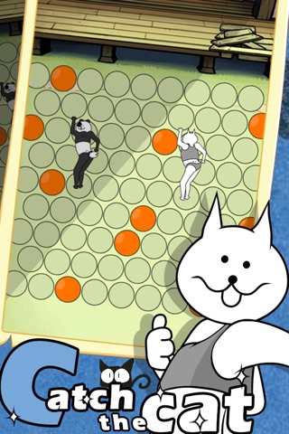 Catch The Crazy Cat screenshot 4