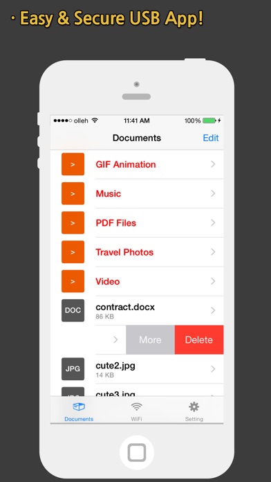 AirUSB (Wireless Flash Drive) Screenshot 1