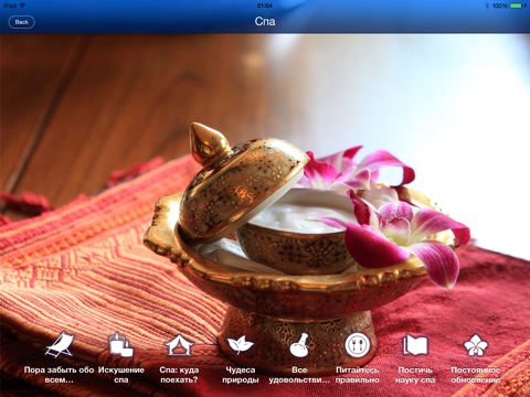 Медицинский и спа-туризм HD screenshot 3