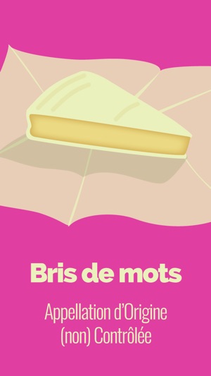 Bris de mots(圖1)-速報App