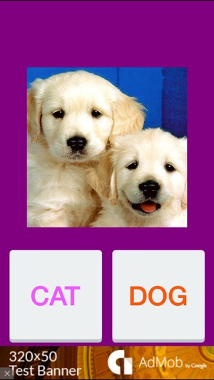 Tic Toc: Cat or Dog(圖1)-速報App