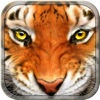 Tiger Simulator 3D Wildlife