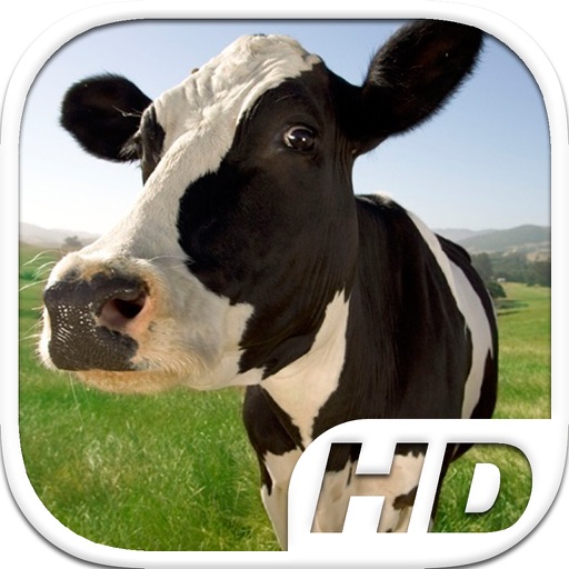 Cow Simulator HD Animal Life icon