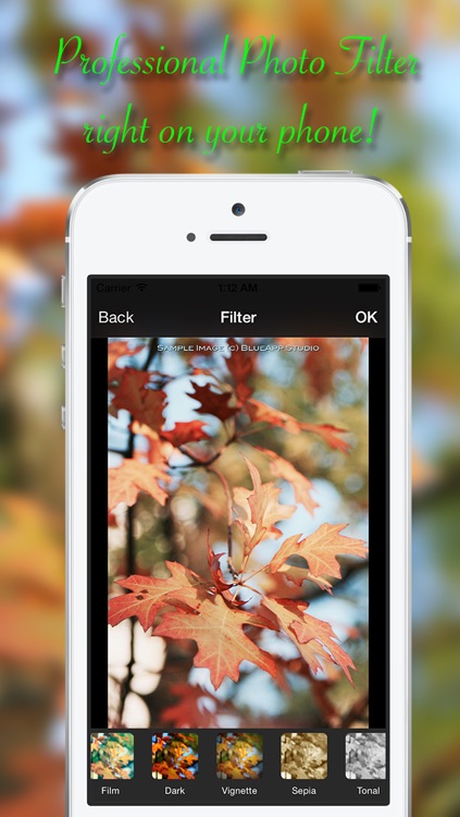 HaloPhoto - Awesome Photo Editor & Insta Beauty Filters with Captions and Stickers