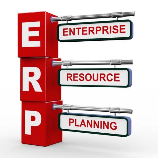 Enterprise Resource Planning (ERP) Quick Study Reference: Cheat sheets with Glossary and Video Lessons icon