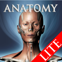 DS ANATOMY HEAD  NECK MUSCULOSKELETAL SYSTEM Lite