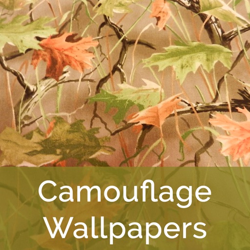 Camouflage Wallpapers HD 2015 icon