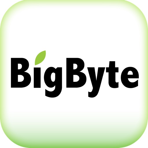 BigByte 大樹國際