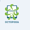 octopoda