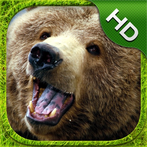 Bear Simulator - HD iOS App