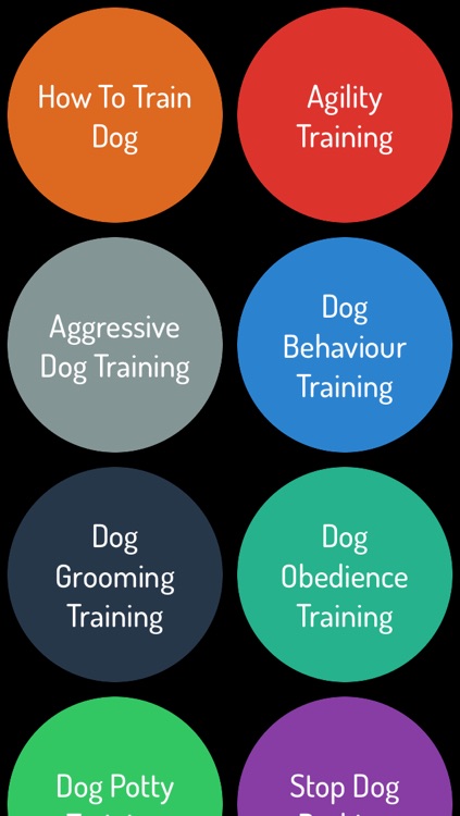 How To Train a Dog - Dog Training Guide