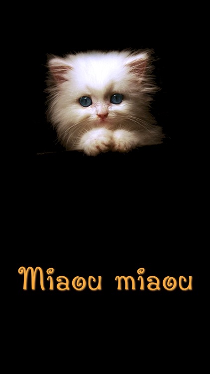 Miaou miaou