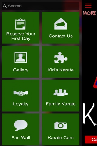 AB Karate screenshot 2