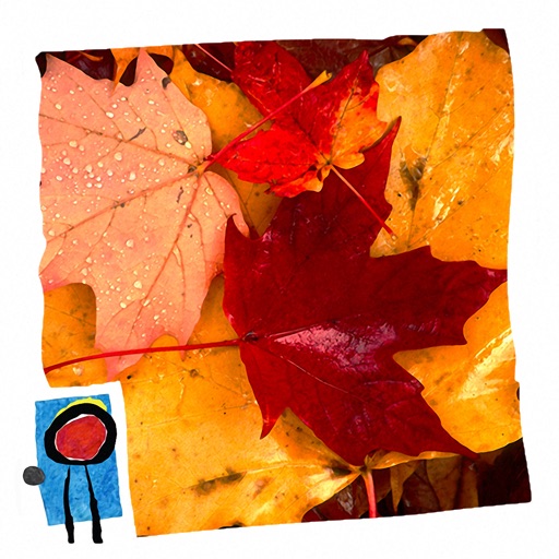 Fall Changes icon