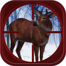 Activities of Deer Shooter 2015