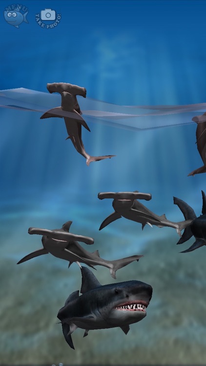 Shark Fingers! 3D Interactive Aquarium
