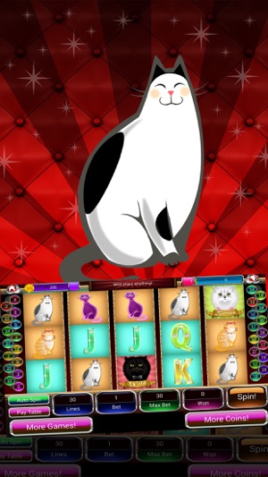 -777- Socialite Kitten Slots(圖2)-速報App