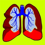 Lungs  Breathing Lung Disorders, Asthma, Cancer, Asbestos Awareness Encyclopedia FREE