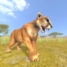 Activities of Puma Survival Simulator