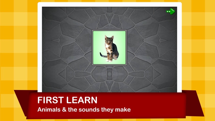 Animal Calls
