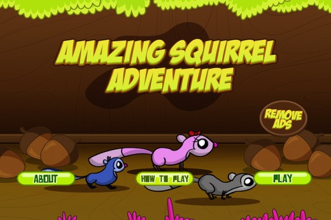 Amazing Squirrel Adventure screenshot 2