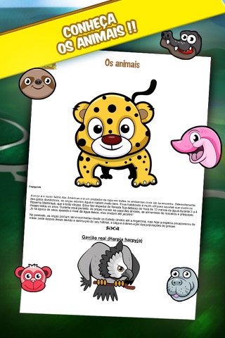 Conserve a Amazônia - Jogo Match-3 screenshot 2