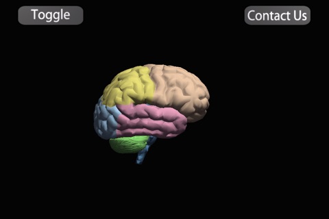 3D Brainy screenshot 2