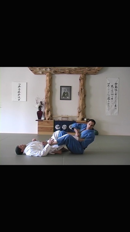 Brazilian Jiu Jitsu: Blue Belt Requirements