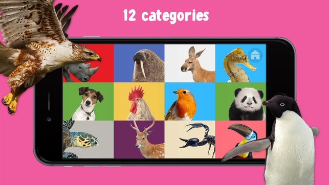 100 Animal Words for Babies & Toddlers Pro(圖3)-速報App