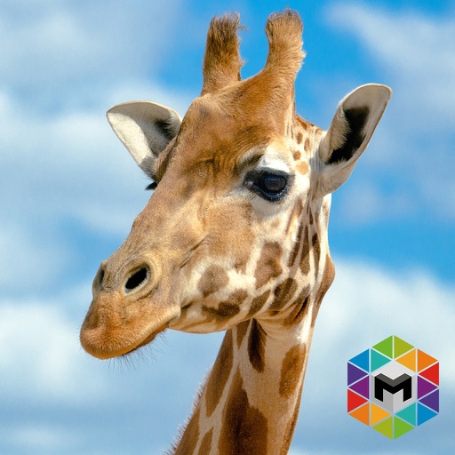 My Giraffe Simulator iOS App