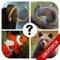 Errate das Tier - Das lustige Bilder Zoo Quiz Spiel auf Deutsch für Kinder und Erwachsene
