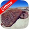 This map contains the information of attractions at Petrified Forest National Park