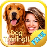 A How to Train a Puppy and Stop Dog Barking With Great training classes and Amazing Tips