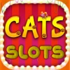 Free Casino Cats Machine Slots