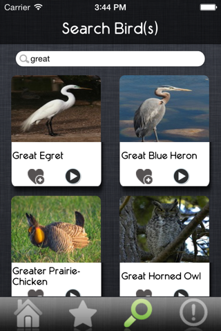 Bird Sounds - Ultimate Sounds Collections screenshot 3