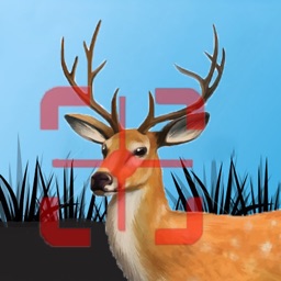 Shoot the deer - Deer Hunting Trophy Free Shooting Game