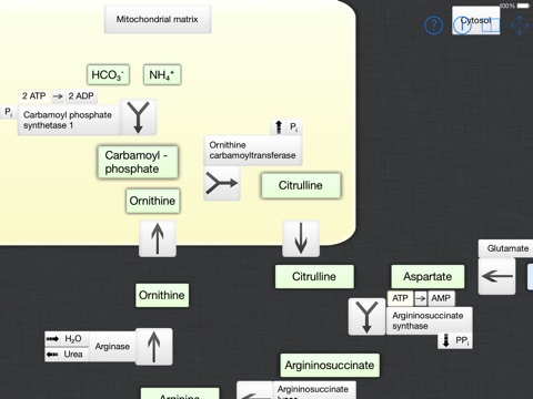 Medical Biochemistry screenshot 3