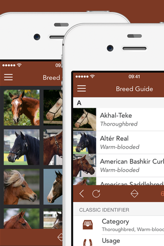 iKnow Horses 2 PRO - The Reference Work screenshot 2