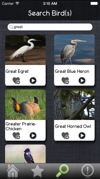 Bird Sounds - Ultimate Sounds Collections