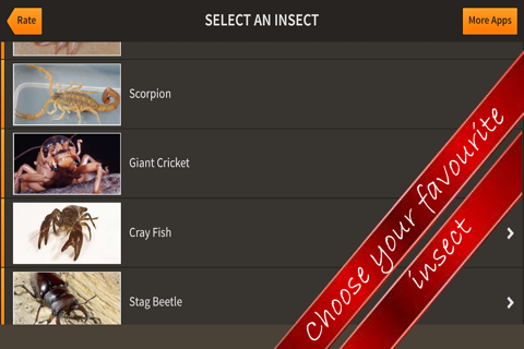 All About Insect screenshot 2