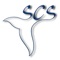 The SCS application is a guide of the cetacean species