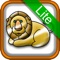 "Animal Coloring for Kids Lite" is a coloring book application for kids